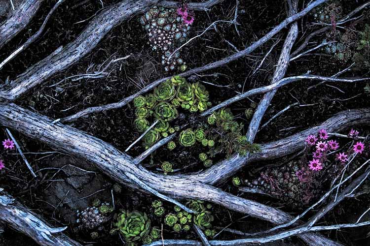 08 - 11082013-IMG_5857.jpg