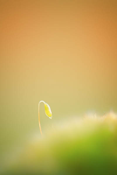 20130317_CJJ_T_01712.jpg