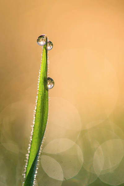 20130420_CJJ_T_01743.jpg