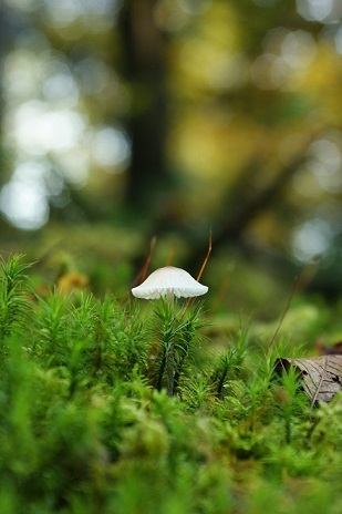 DSC02280.JPG
