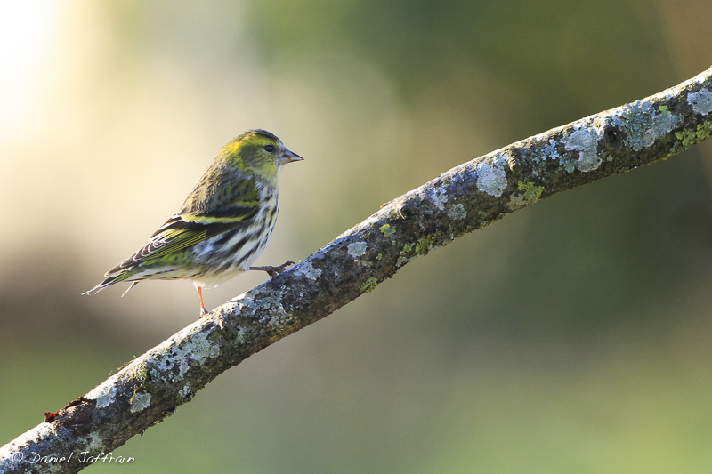 fna-rétro 2013-00002.jpg