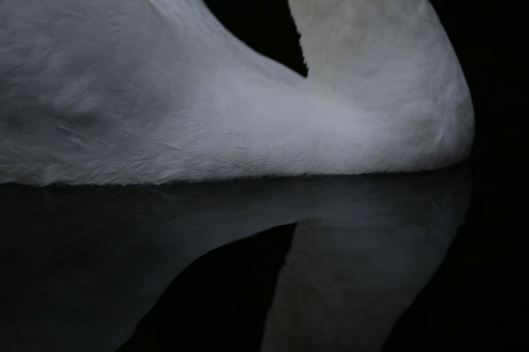 _MG_6859 (2).JPG
