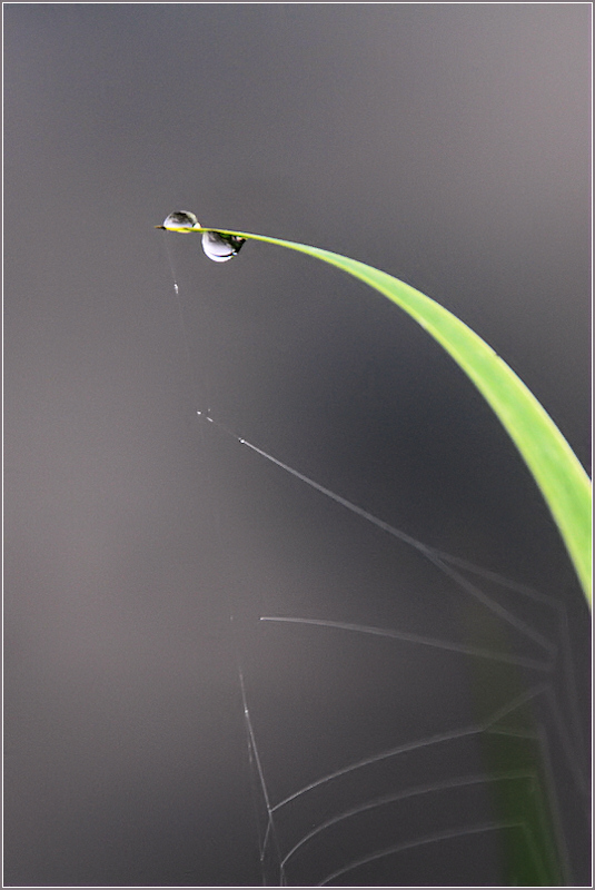 Minimaliste 3cp2.jpg