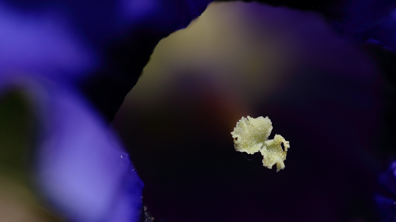 stigma-comp.-1.jpg