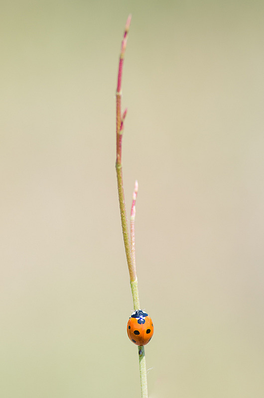 I&N Janvier Minimalisme II.jpg