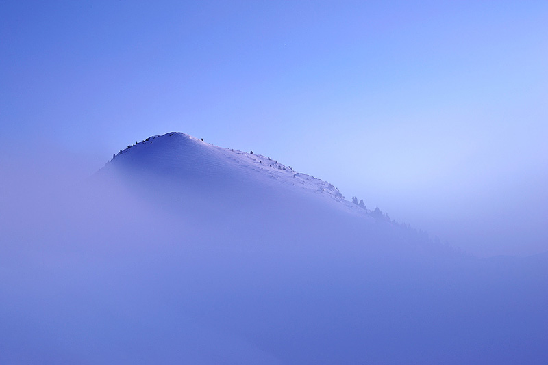 DSC_9272.jpg