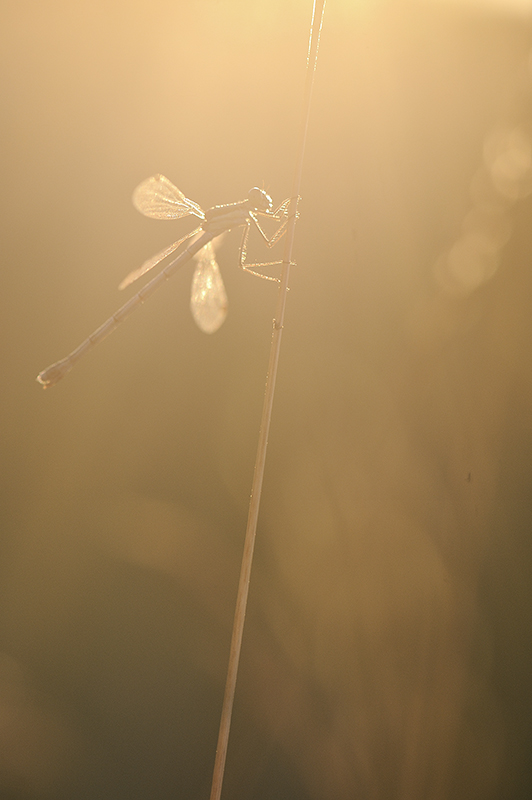 _13E7022.jpg