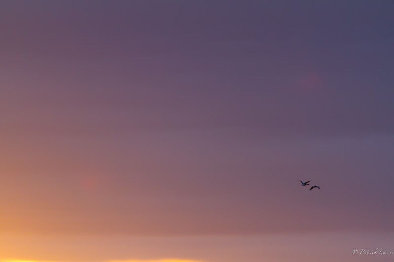 Impression soleil couchant.JPG