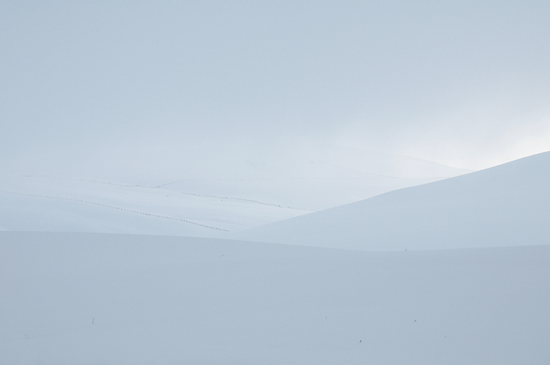 min-20100206-5185.jpg