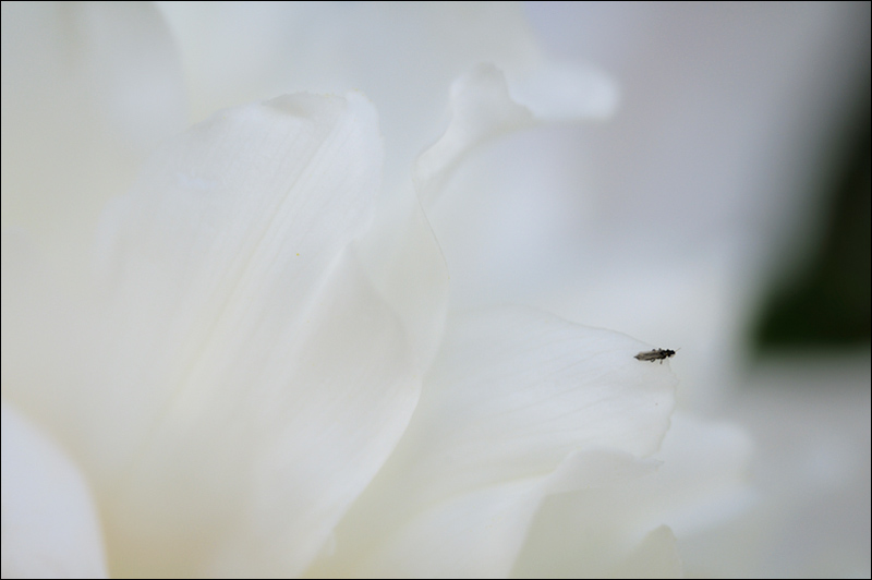 min-20110599-9879.jpg