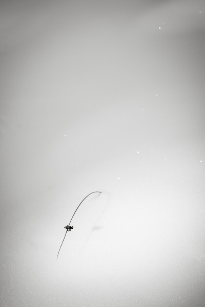 min-20131226-7761.jpg