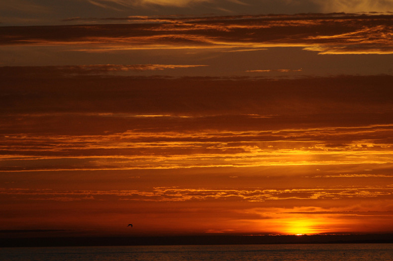 DSC_1777r.JPG
