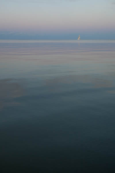IMG_9288.jpg