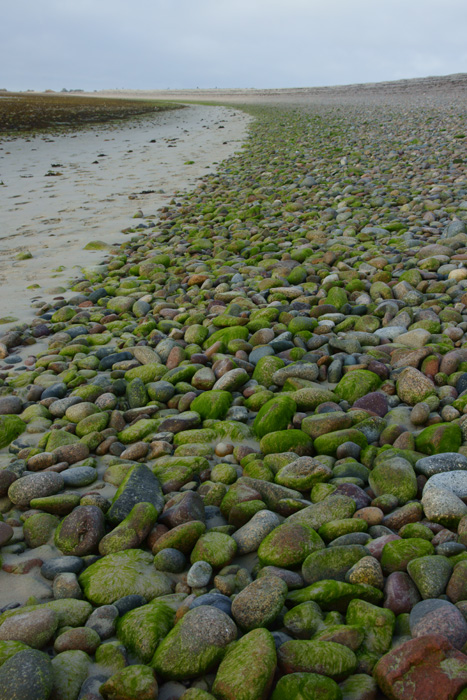 DSC02840.jpg