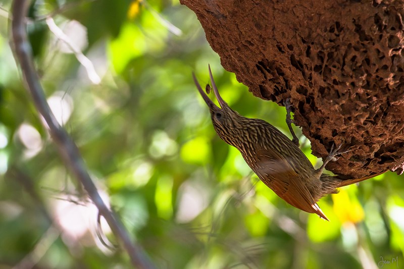 18012014-IMG_6871 (Copier).JPG