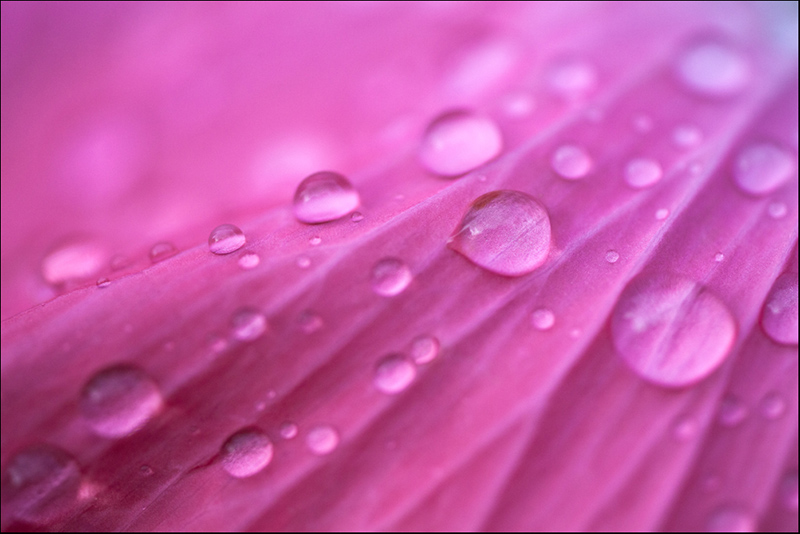 goutte3.jpg