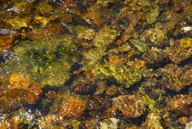 DSC_5171_copy.JPG