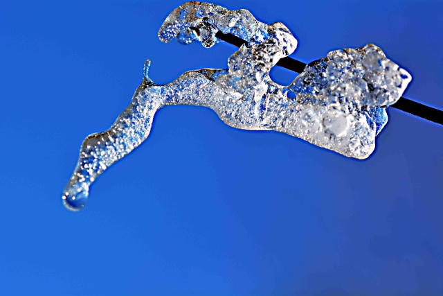 DSC_4168 (640x427).jpg