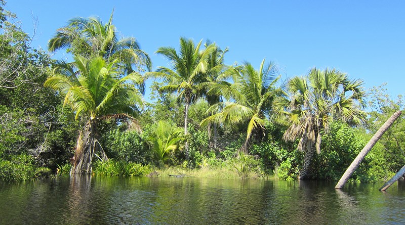 23012014-123 (Copier).JPG