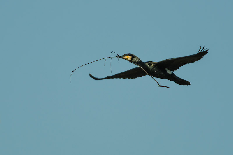 DSC_6736.jpg