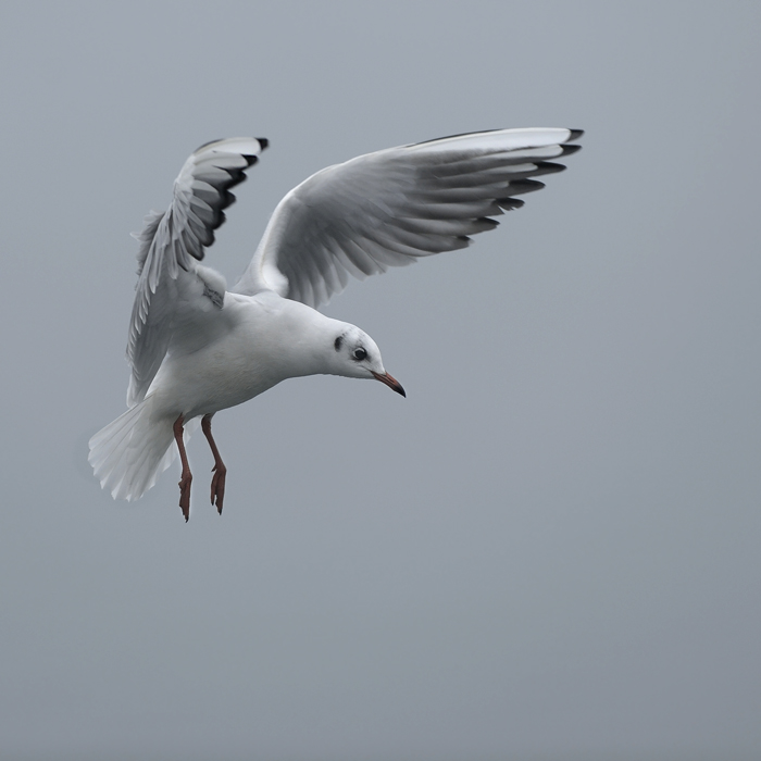 MOU-RIE-XII-2013-2.jpg