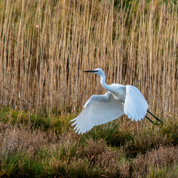 14022014-IMG_7051.jpg