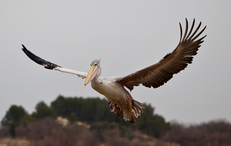 1 concours image&nature mars 2014.JPG