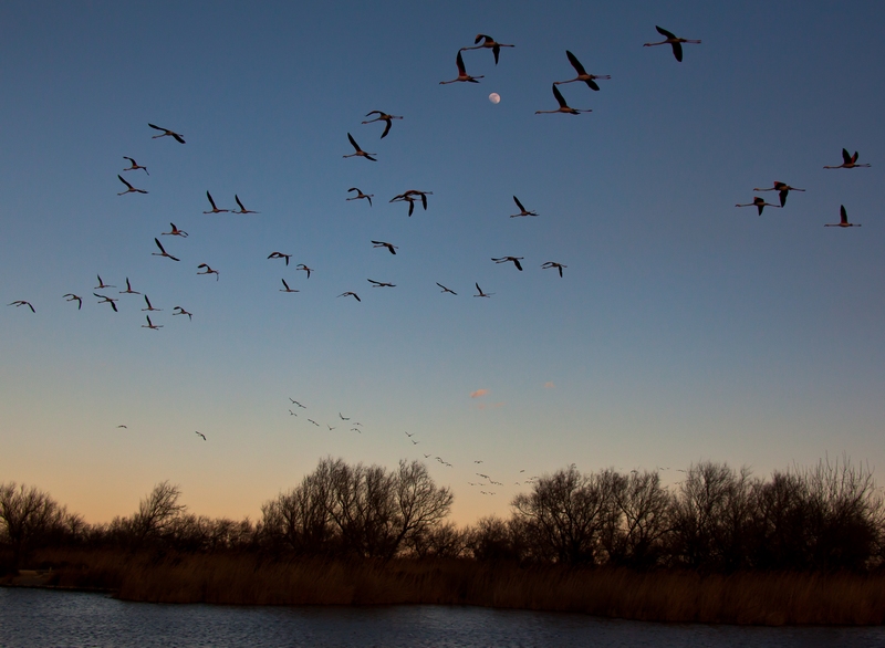 2 concours image&nature mars 2014.JPG