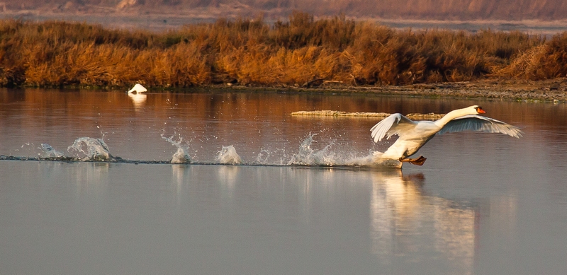 3 concours image&nature mars 2014.jpg