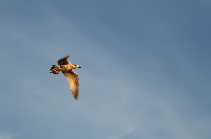 DSC_5644.JPG