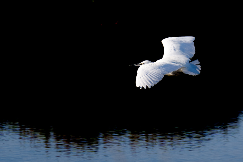 DSC_3909.jpg