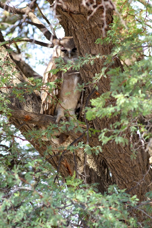 IMG_0467.JPG - Version 2.jpg