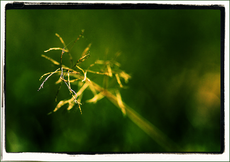 Le bout du bout cp2.jpg