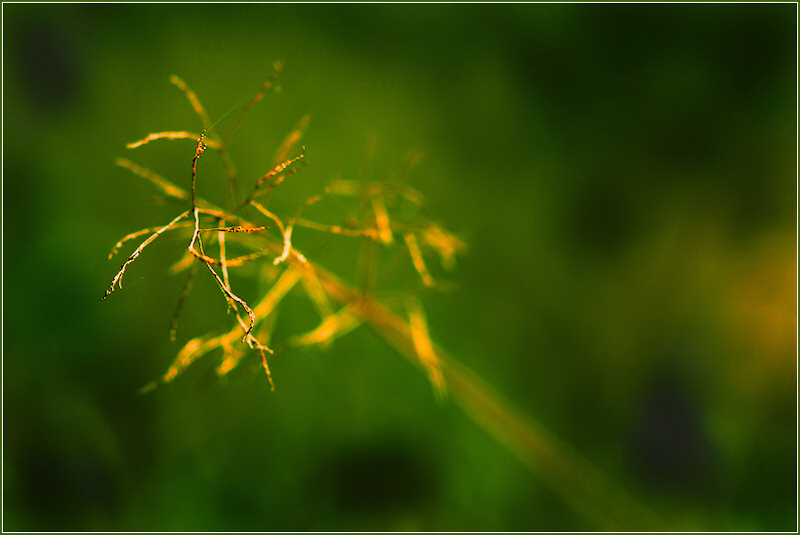 Le bout du bout V2cp2.jpg