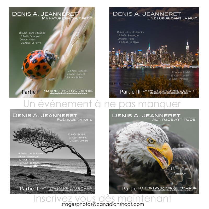 4 pamphlets ensemble.jpg