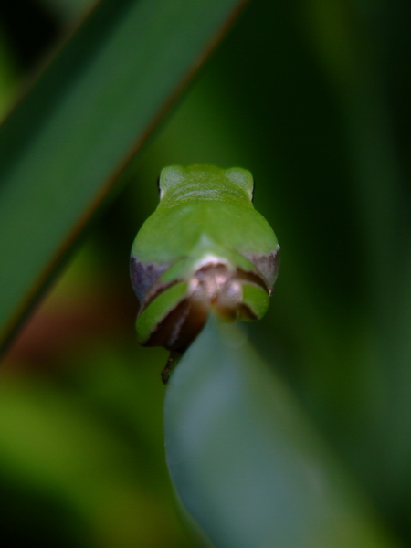 DSCF3662.jpg