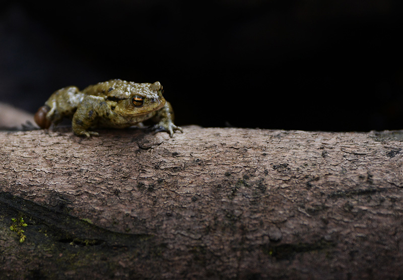 DSC_86492.jpg