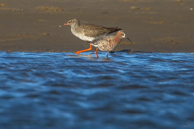 27042014-IMG_9768 (Copier).JPG