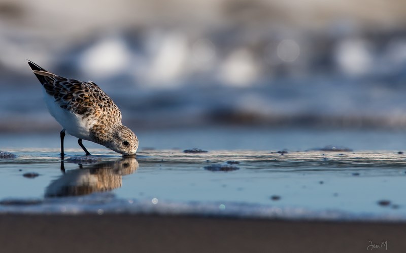 ED8A6807 (Copier).JPG