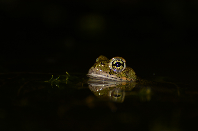 DSC_95552.jpg