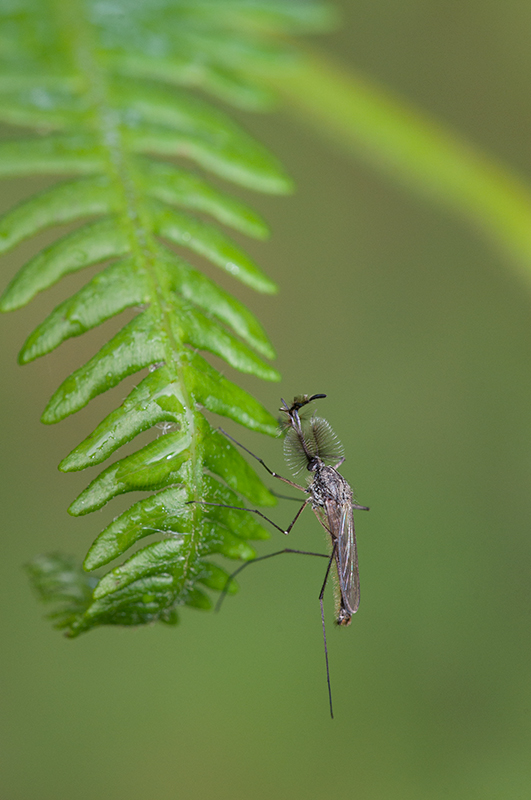 DSC_2235.jpg