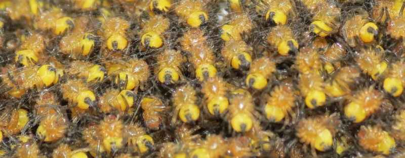 21.04.2014Canon 013.JPG