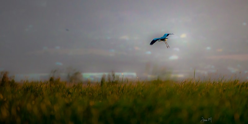 ED8A7280 (Copier).JPG