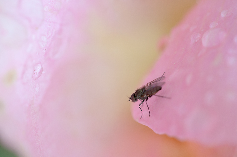 DSC_2744.jpg