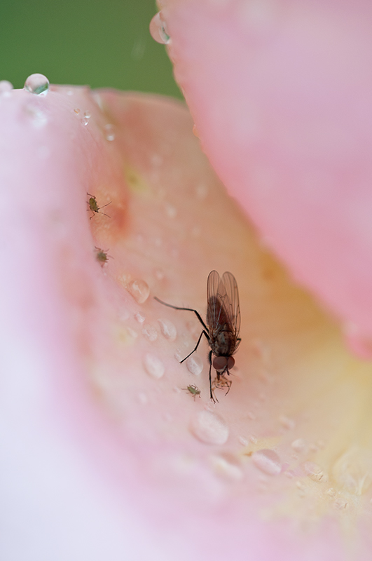 DSC_2747.jpg