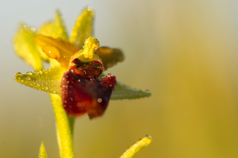 2014 05 04 29 IN.jpg