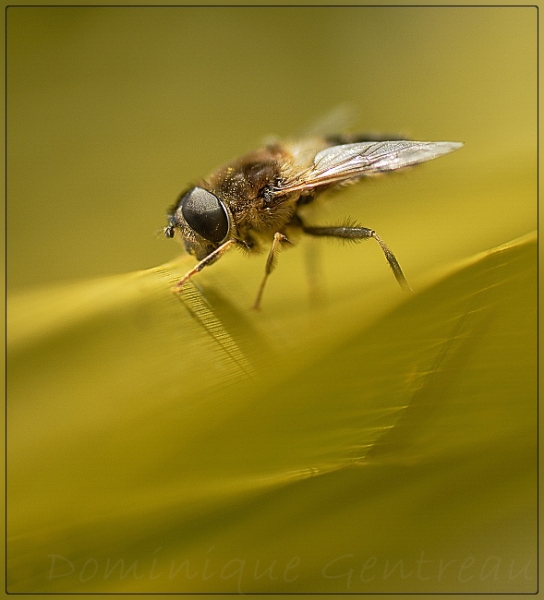 09-015-031_2-border [].jpg