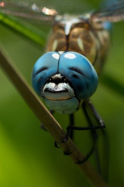 Le sourire.jpg