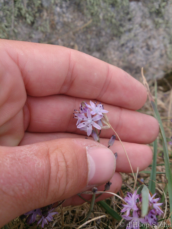 Image et Nature-1-1.jpg