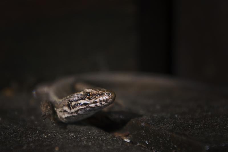 choisir son angle 3.jpg